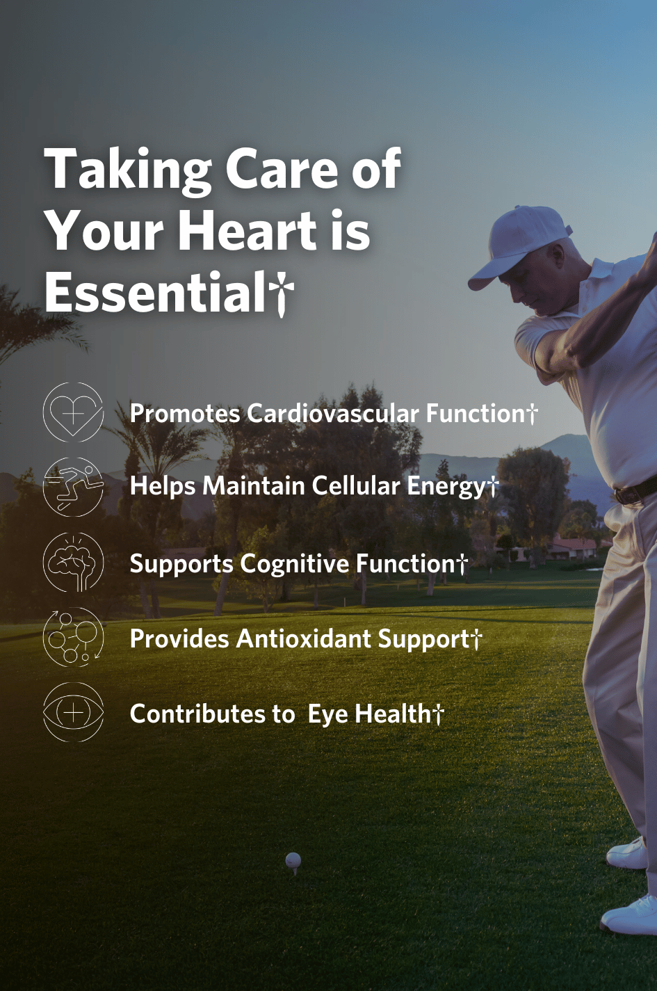 Man playing golf with text about heart health benefits of Cooper Complete 50 mg CoQ10 Uqiquinol supplements overlaid.