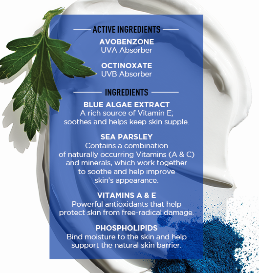 Jack Black Double Duty Face Moisturizer ingredient infographic featuring sunscreen actives, blue algae extract, sea parsley, vitamins A and E, and phospholipids.