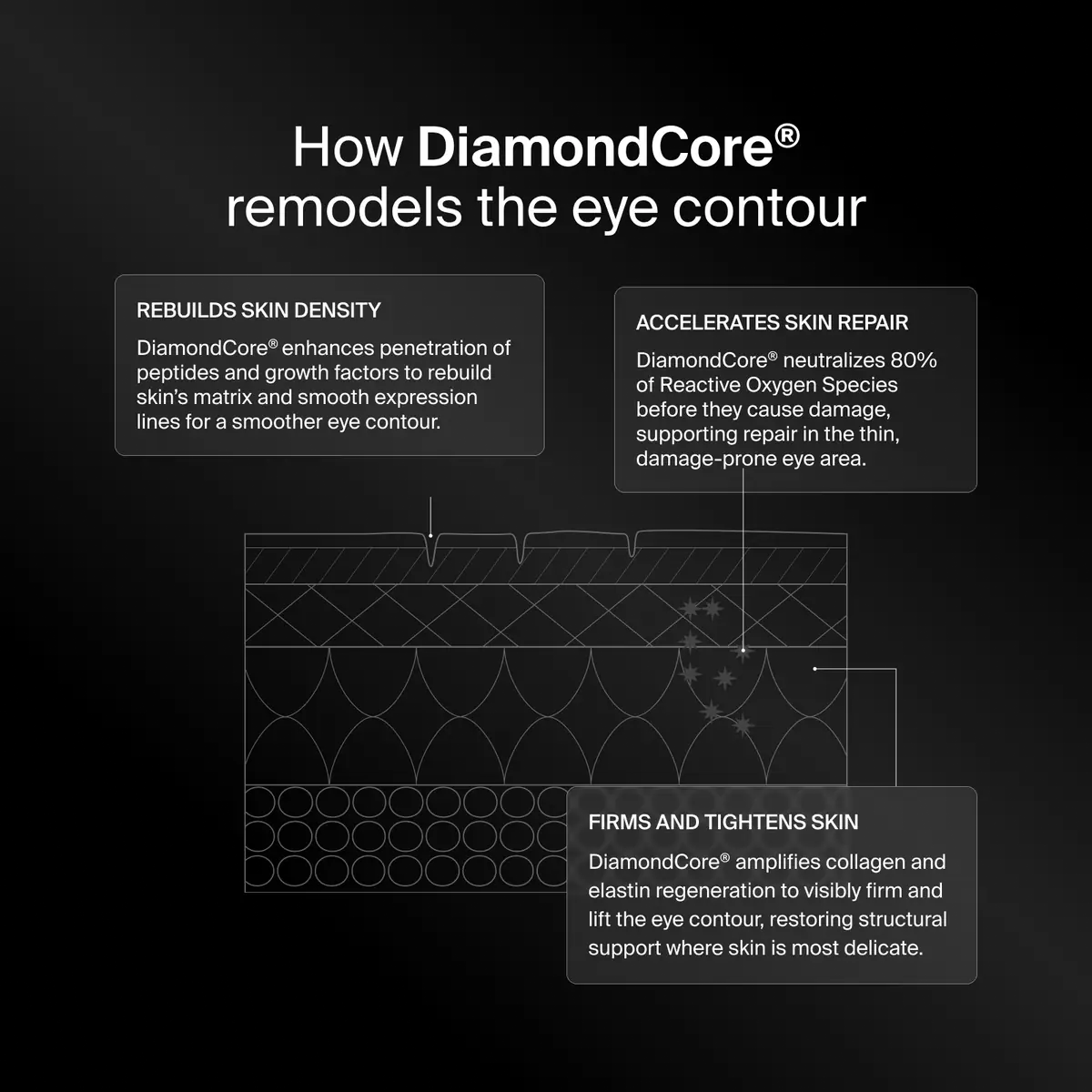 Flow chart: How DiamondCore remodels the eye contour – rebuilds skin density, accelerates skin repair and firms and tightens skin. 
