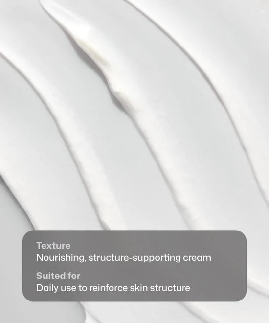 Close up swatch of nourishing, structure-supporting Revision Skincare DEJ Face Cream suited for daily use to reinforce skin structure. 